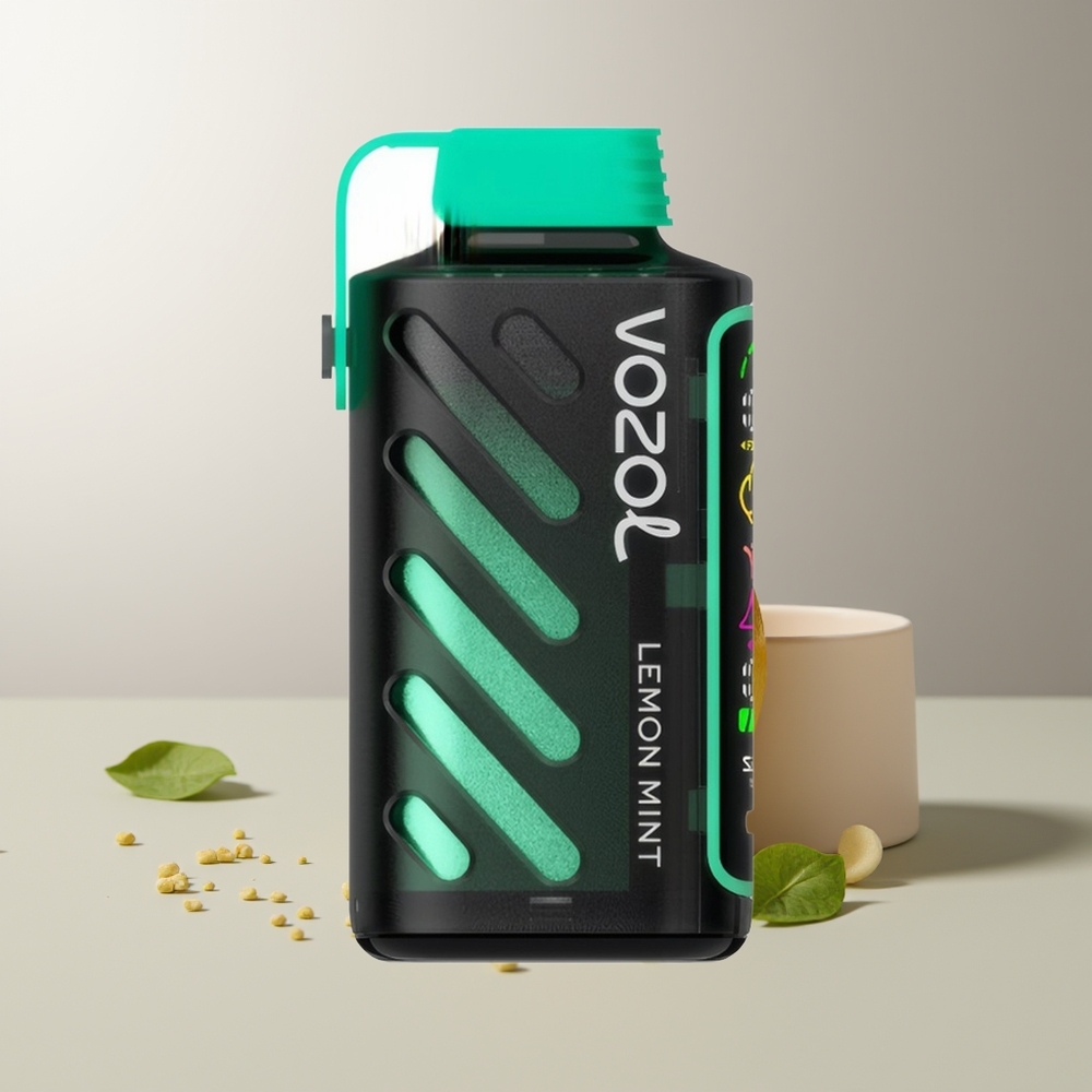VOZOL Gear Power 20000 Puffs Dvigubas Tinklas Full Ekranas Citrina Mėta