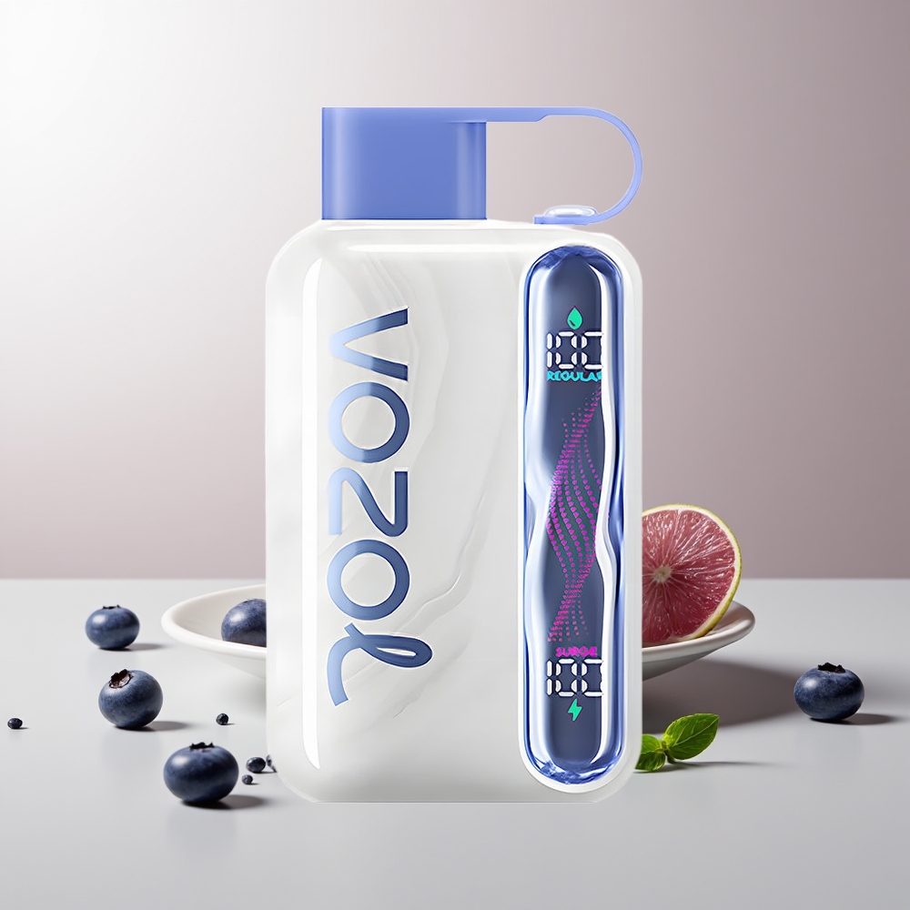 VOZOL STAR 40000 PUFFS Type-C 1000mAh 20/50mg/ml Mėlynių Mėtų