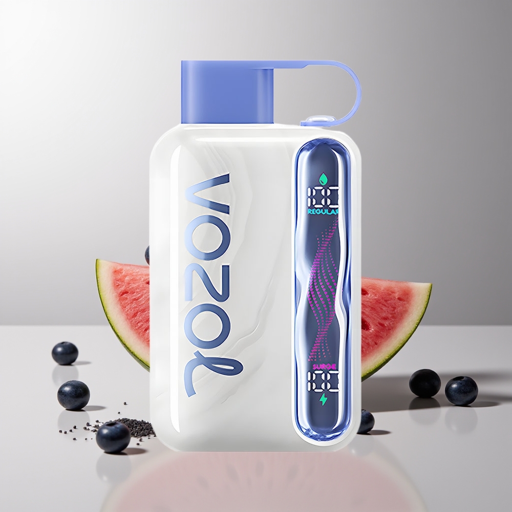 VOZOL STAR 40000 Pūkų Vienkartinis Vapas Mėlynųjų Uogų ir Žiemos Melionas 1000mAh Type-C 20/50mg/ml